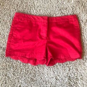 Scallop, boutique shorts. Size 6.
